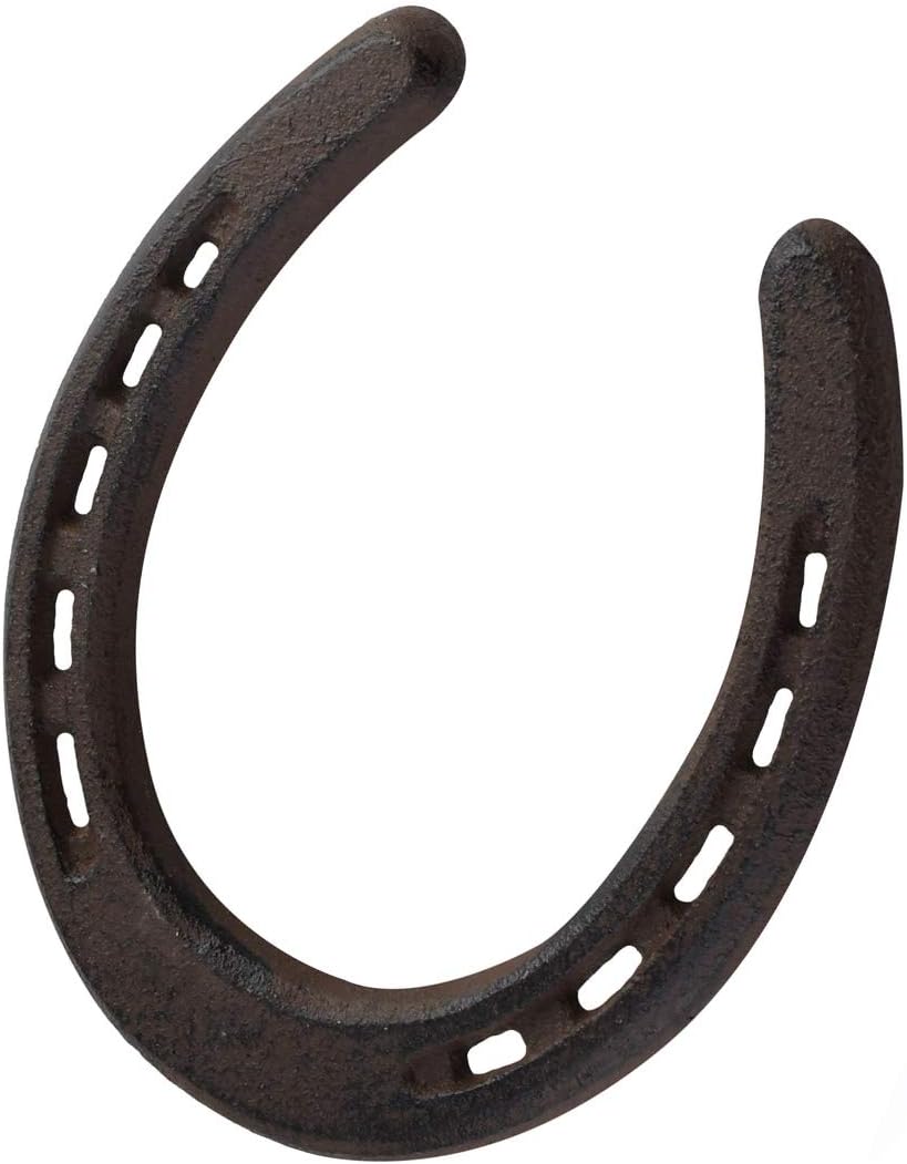 TG,LLC Treasure Gurus Cast Iron Horseshoe Good Luck Charm Barn Door Rustic Decor