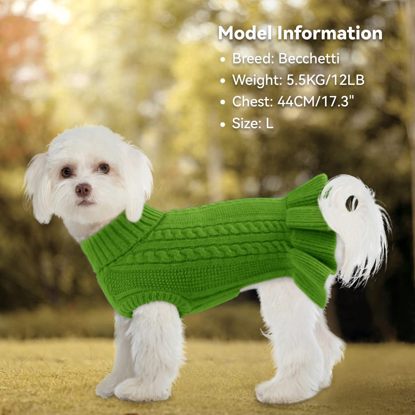 Smooth Coat Mi Ki Puppies For Sale Under 1000 Chihuahuas Puppies