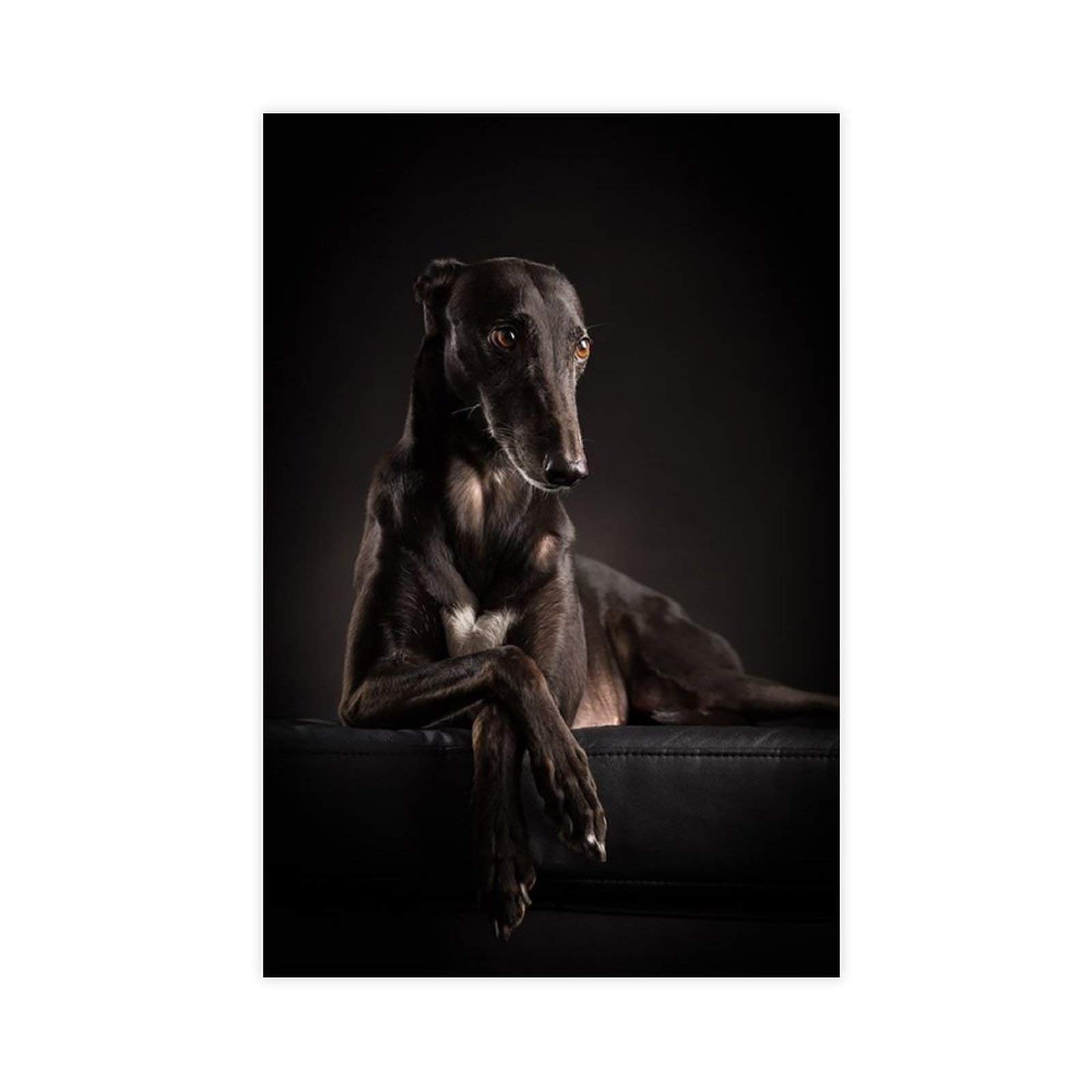 MHGDA The Dog Greyhound Art 8 Canvas Poster Bedroom Decor Sports Landscape Office Room Decor Gift 20×30inch(50×75cm) Unframe: