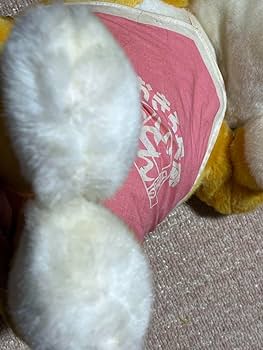 日清　起きろ兵衛　菊地桃子　どん兵衛 Amazon.co.jp: 日清 起きろ兵衛 菊地桃子 どん兵衛 : ホーム