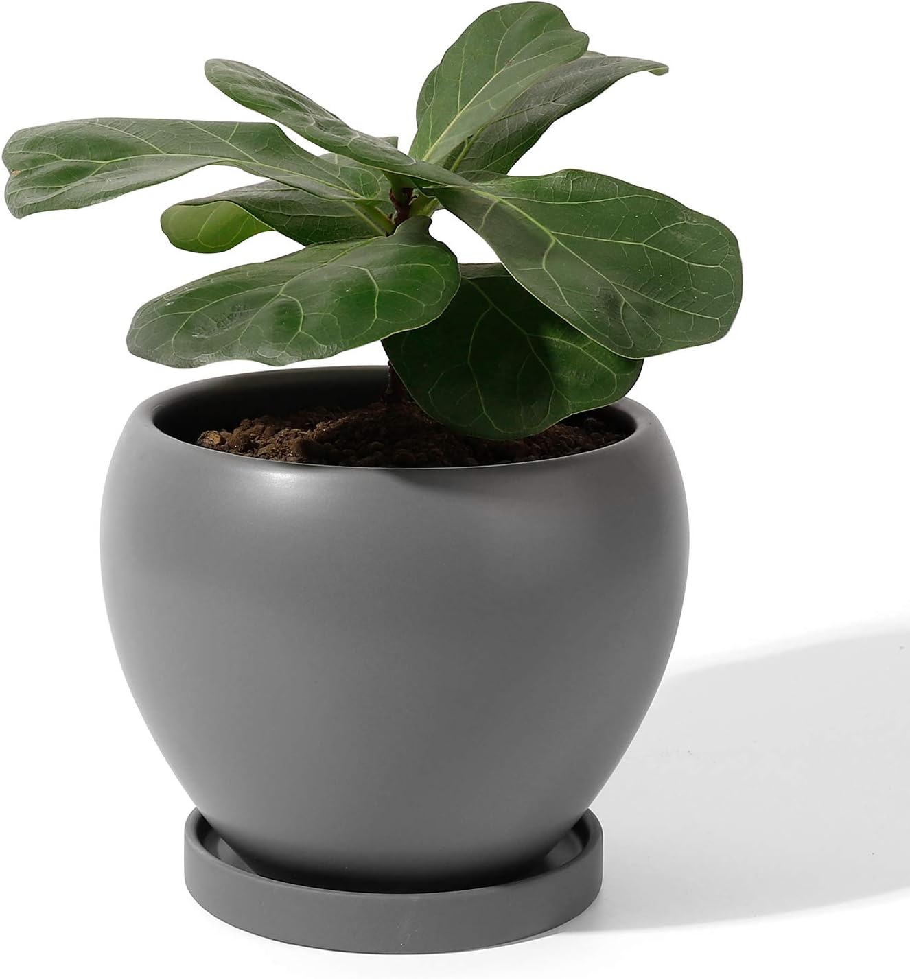 POTEY 052504 Ceramic Plant Pot Planter - 5.6 Inches Grey Planter for Indoor Plants Flower Succulent with Drainage Hole & Saucer