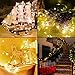 TingMiao Fairy Lights Battery Operated String Lights with Remote Control Timer, 33Ft 100 LED Waterproof 8 Modes Copper Wire Warm White Twinkle String Lights for Christmas (Warm White, 1 Pack)