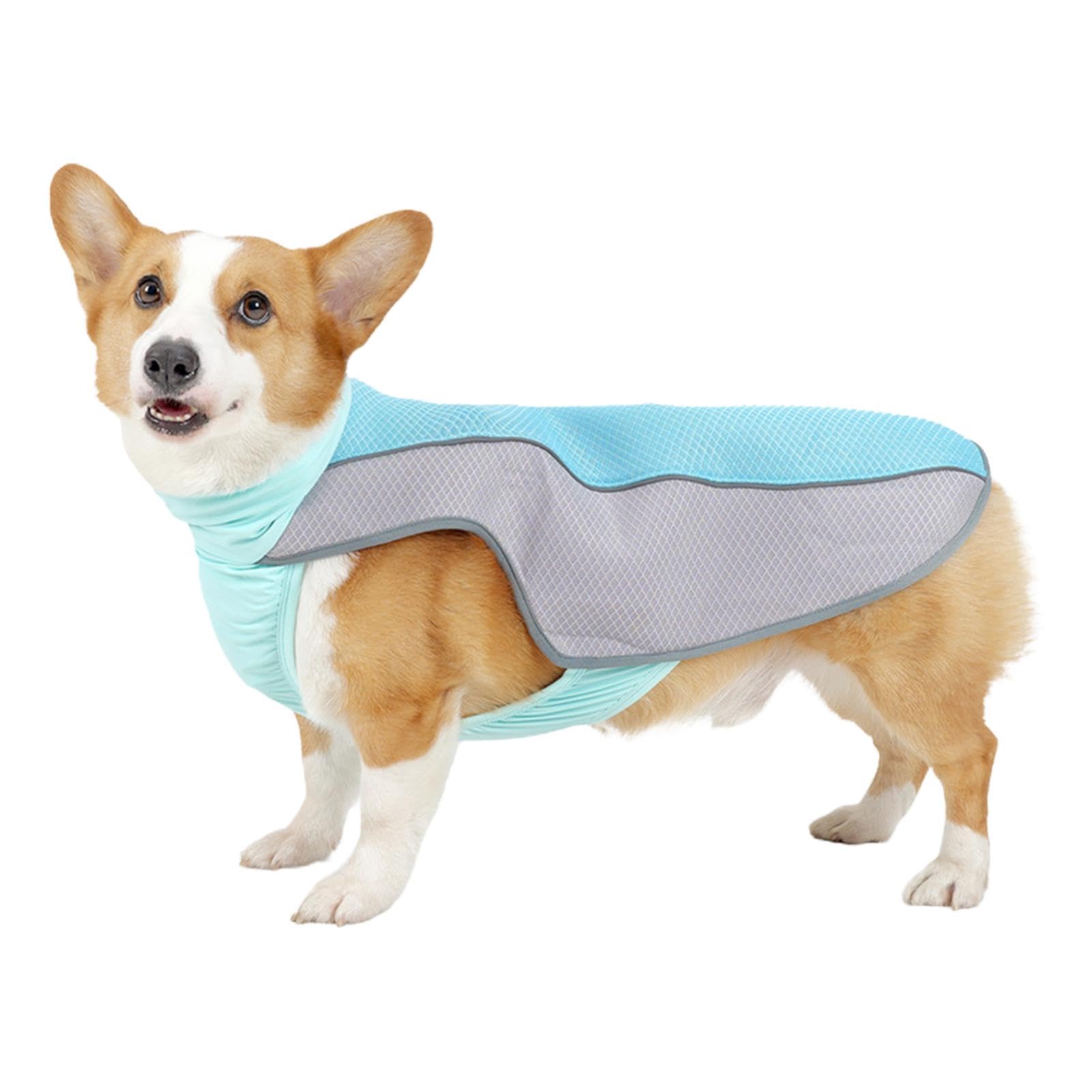 Chemise rafraîchissante pour chien avec bande réfléchissante de sécurité
