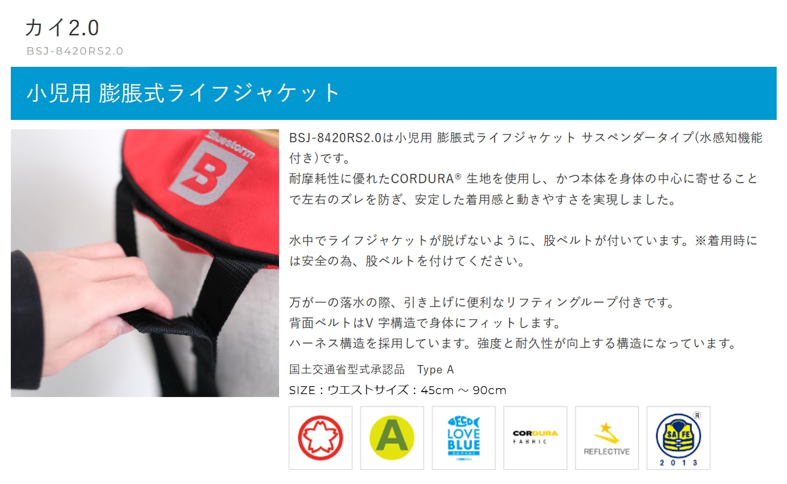Amazon | ブルーストーム(Bluestorm) 国土交通省型式承認 小型船舶用