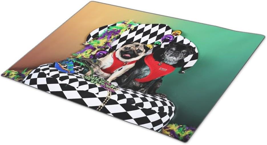 GoGy Decorative Door Mats Dog Washable Door Mat Patio, Lawn & Garden