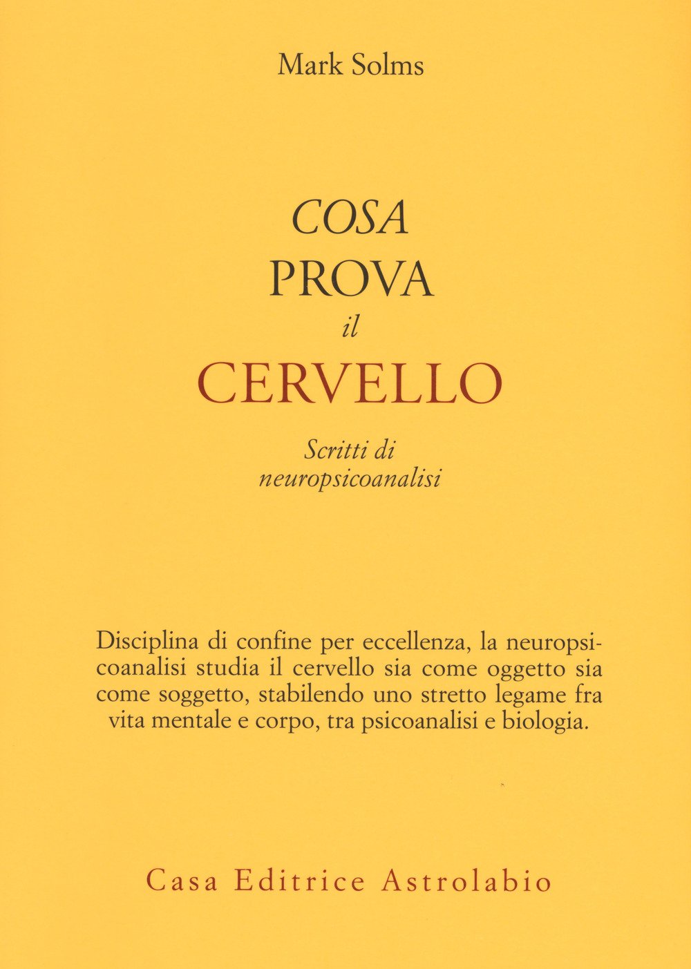 Cosa Prova Il Cervello. Scritti Di Neuropsicoanalisi - 4