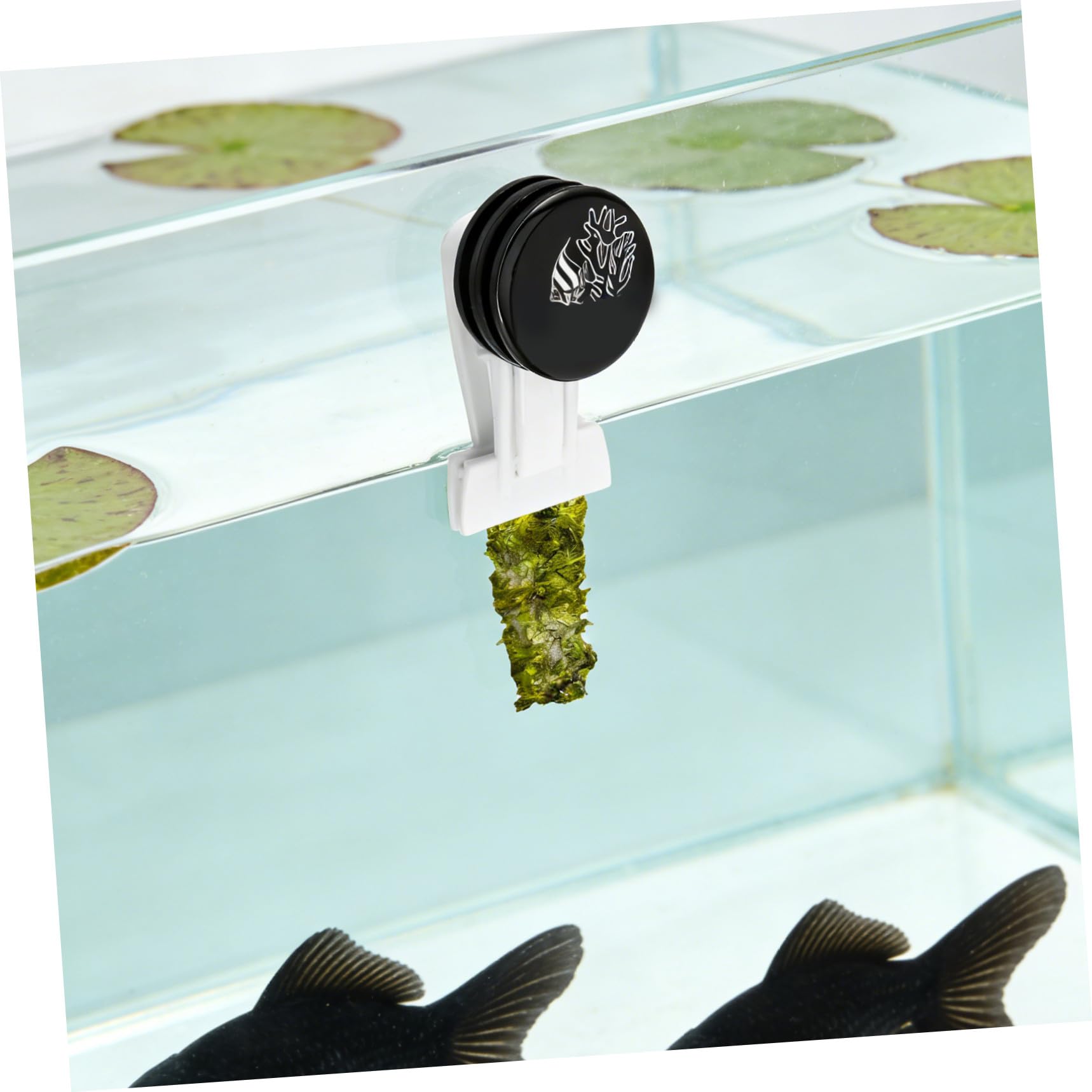 Toddmomy Clip per pesci, verdure, alghe e piante: clip per mangiatoia per pesci, morsetto per mangiatoia per rossi, strumento per l'alimentazione dell'acquario per animali acquatici con