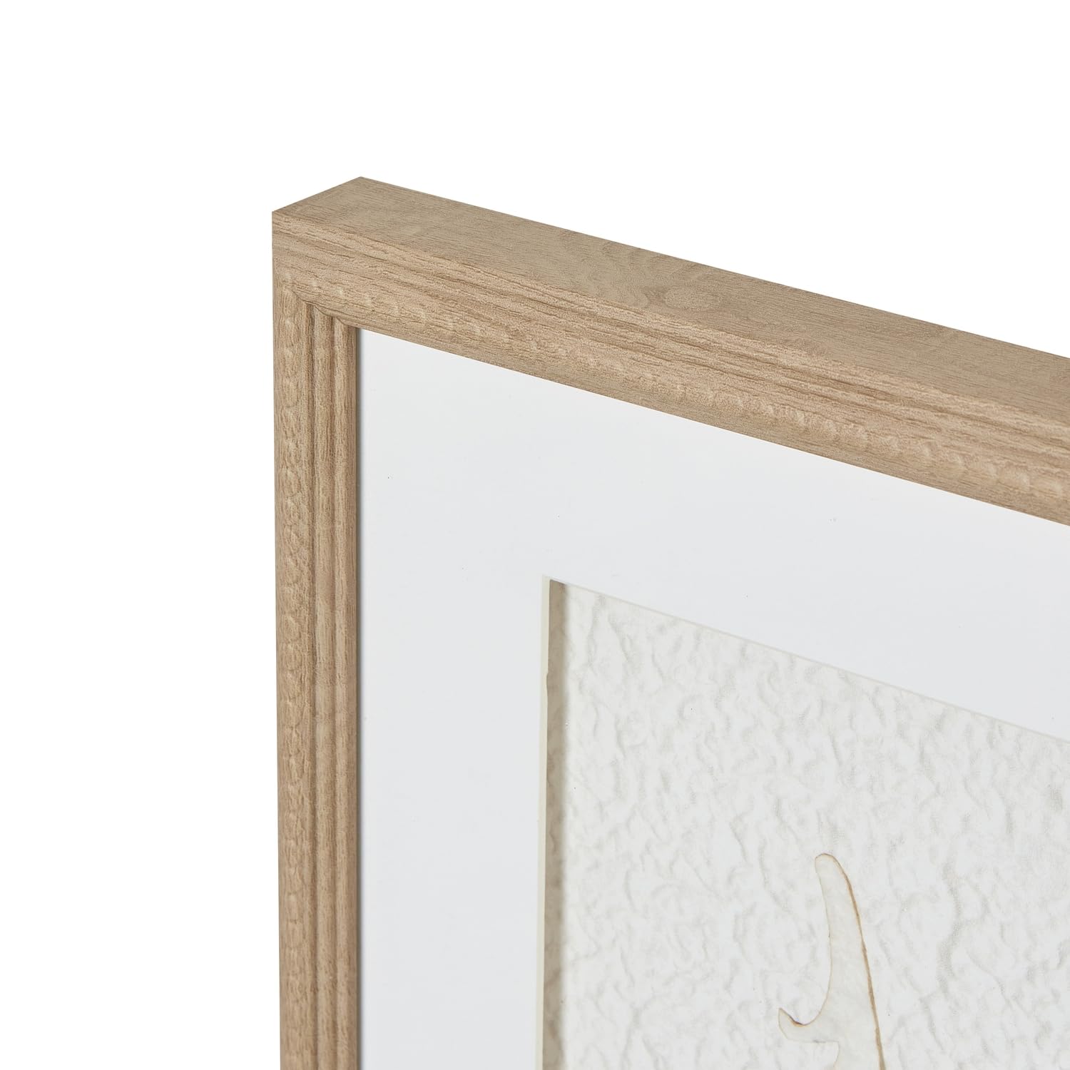 Hill Interiors - Pintura Enmarcada Alta Diseño Plumas (Talla Única) (Marrón, Blanco, Gris)