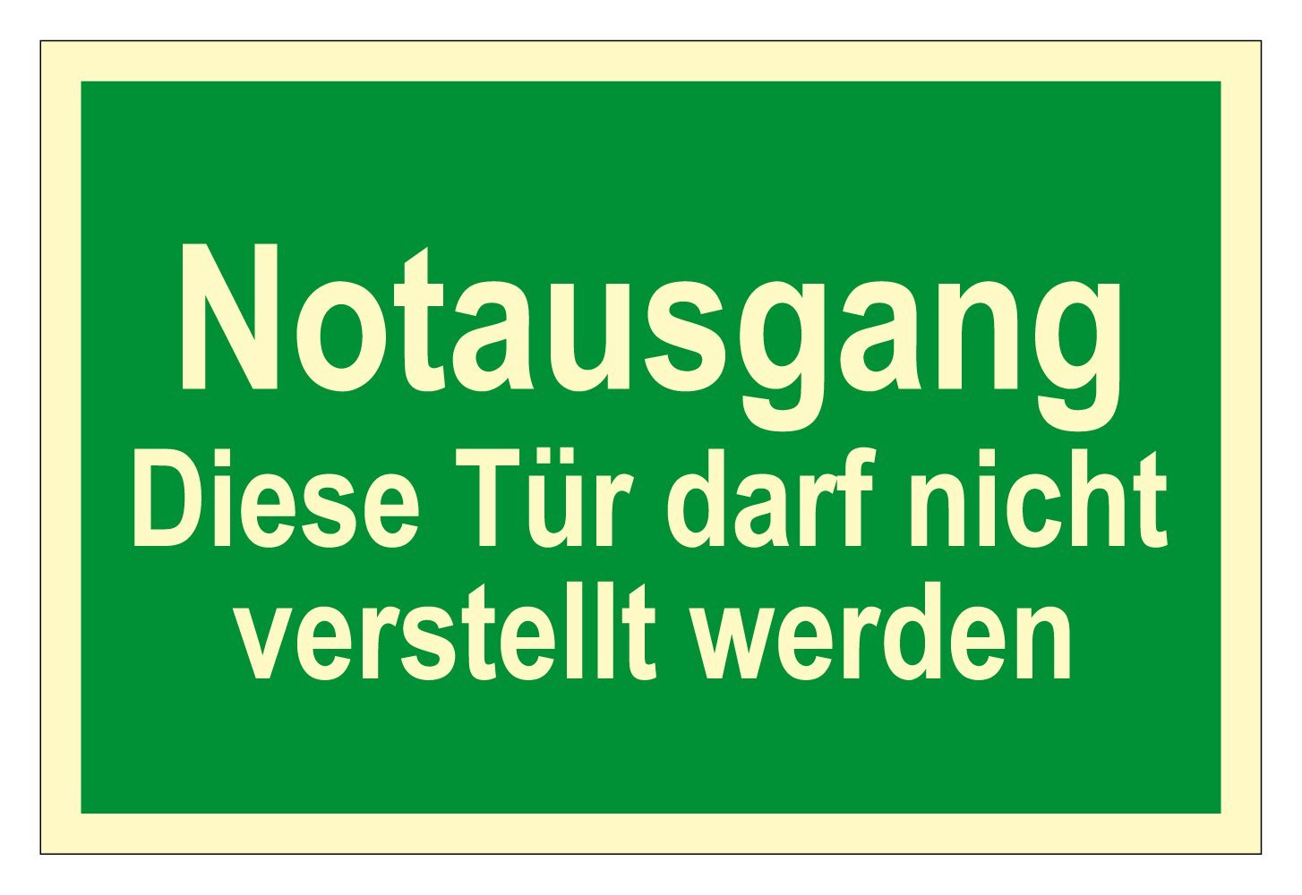 Rettungswegschild aus Kunststoff - Notausgang Diese Tür darf nicht verstellt werden - 30 x 45 cm