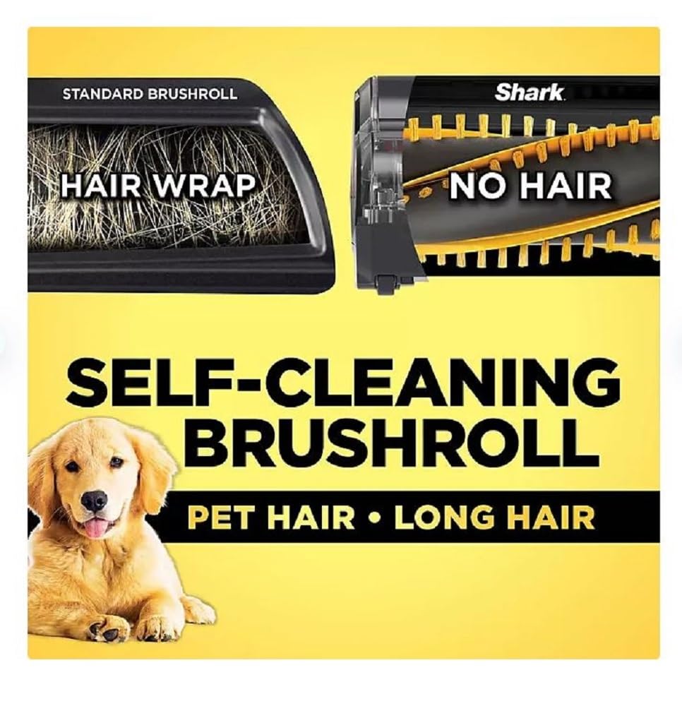 https://m.media-amazon.com/images/I/61nnukImIGL.jpg