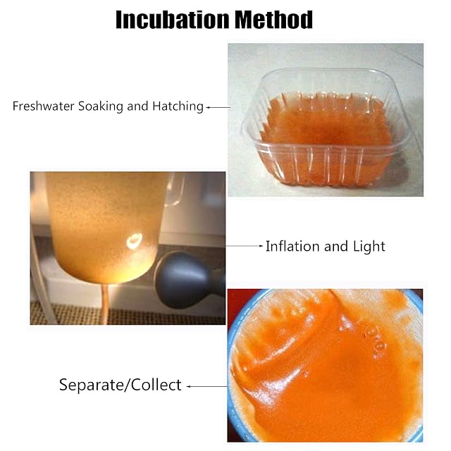 Foto 7 de 8 de AWJUWHBJ Alimento para incubar peces de acuario de 60 g para alimentar peces de bebé, huevos de artemia