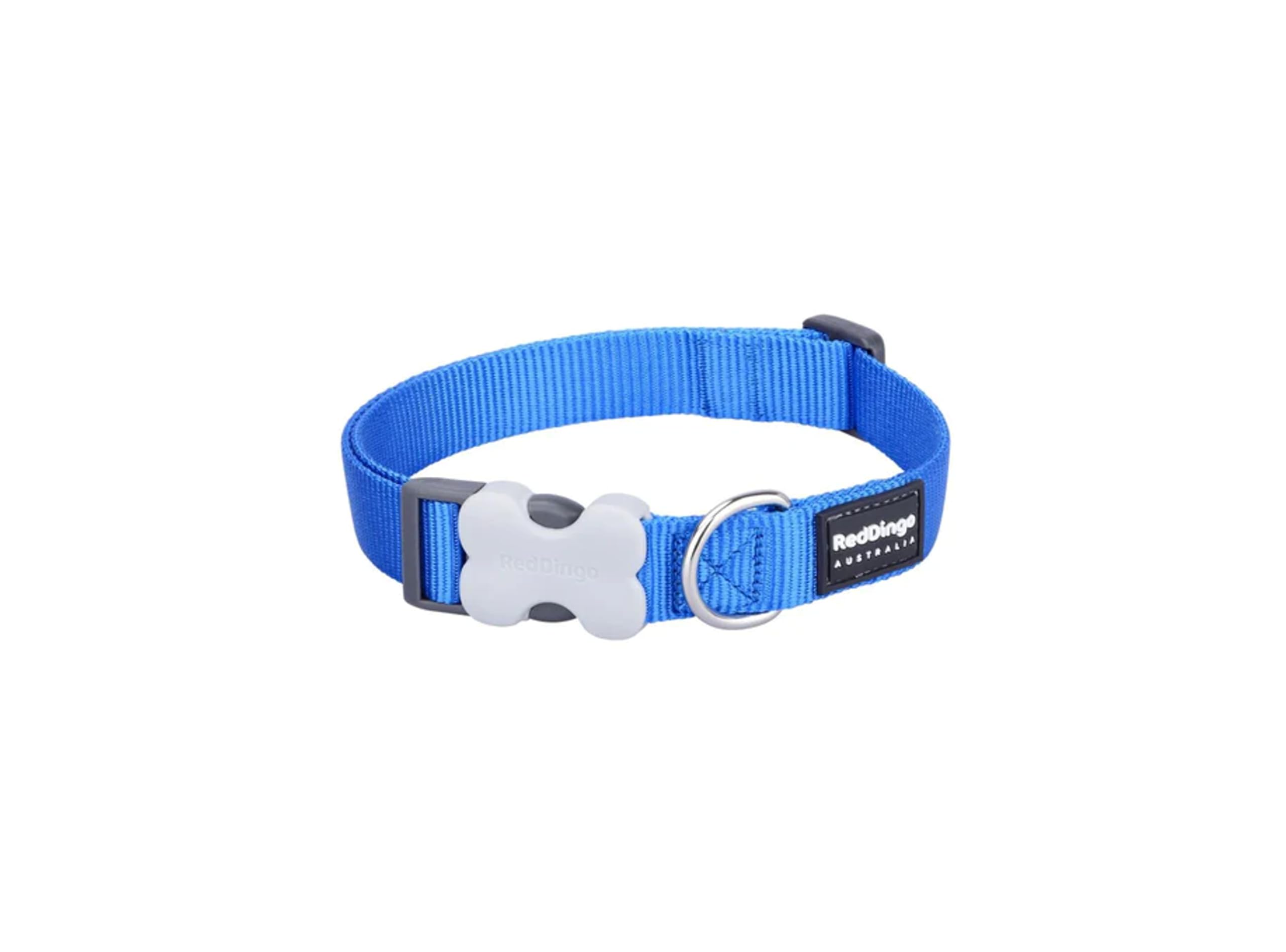 Red Dingo Adjustable Dog Collar - S - 15mm - Classic Electric Blue
