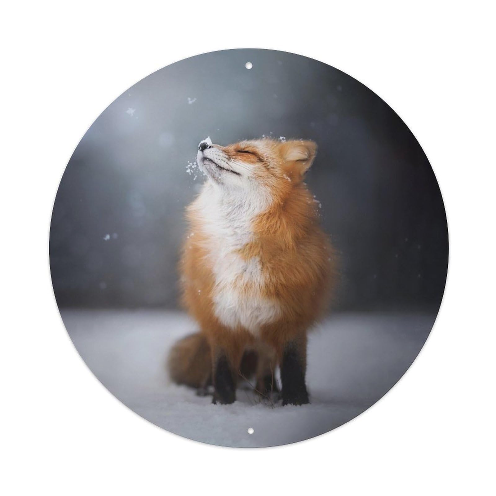 Vintage Red Fox Nature Wildlife Animal Cute Snow Winter Portrait Metal Tin Sign Plaque Wall Decor for Cafe, Man Cave, Club Bar, Office, Home Garden Round Metal Poster 8x8Inch