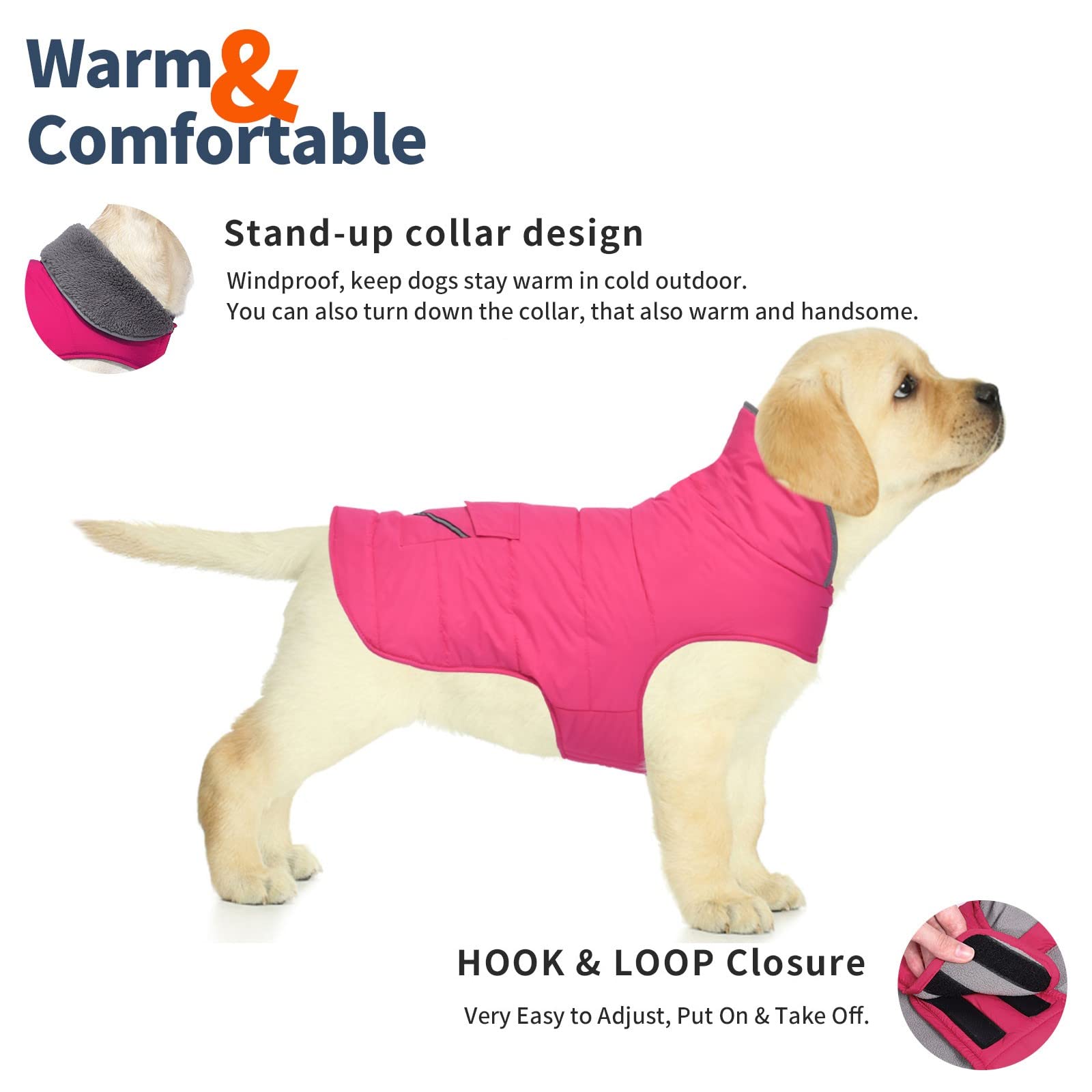 Petglad Cappottino per cani, giacca invernale impermeabile con tasca, riflettente regolabile, gilet da neve per animali domestici, caldo e accogliente maglione in pile per cani di taglia piccola