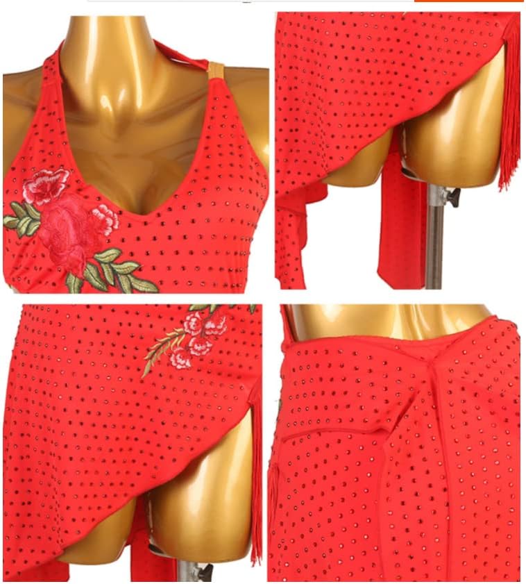 Size Small DANCEAND SWAY Embroidery Latin Costumes Women Sexy Ballroom Dancewear Sleeveless Cha Cha Salsa Irregular Fringe Skirt Rhinestones