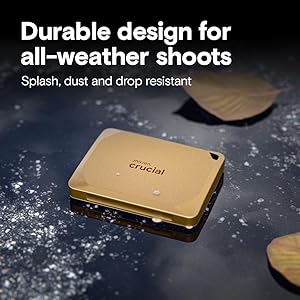 Crucial X10 Pro 2TB Portable SSD, Up to 2,100MB/s Read, 2000MB/s Write, USB 3.2 USB-C, External Solid State Drive, Durable Storage for Professional Creators, Gold - CT2000X10PROSSD9D02