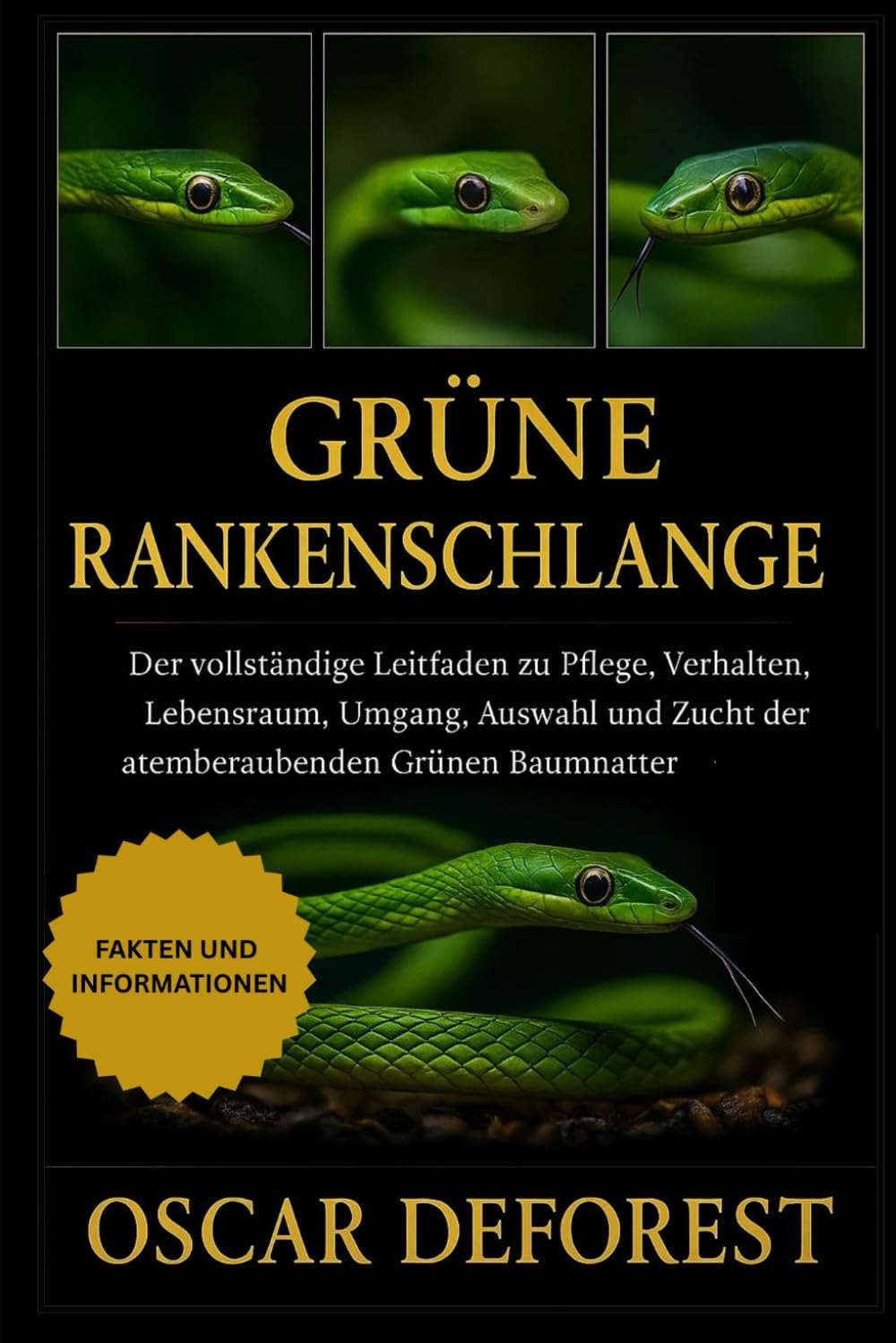 Grüne Rankenschlange: Der vollständige Leitfaden zu Pflege, Verhalten, Lebensraum, Umgang, Auswahl und Zucht der atemberaubenden Grünen Baumnatter.