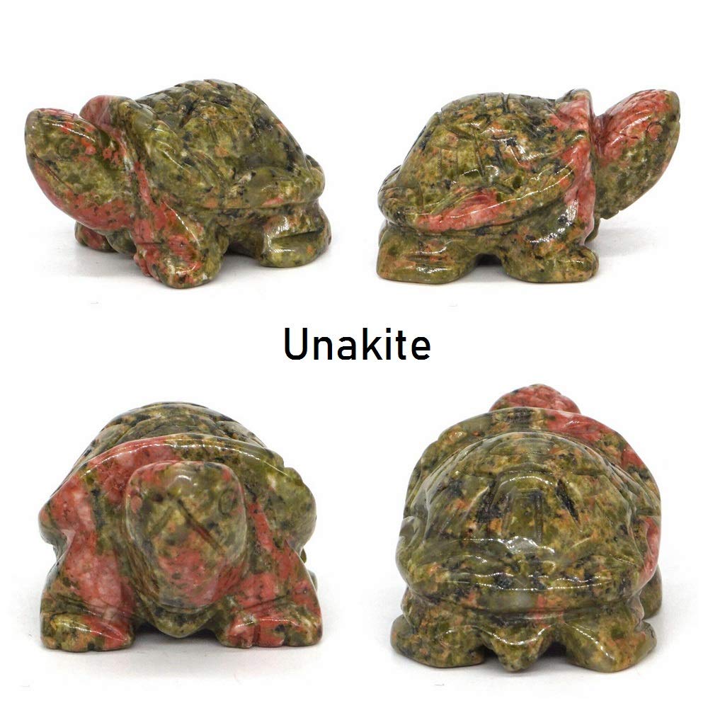 Amazon.co.jp: L 1.5