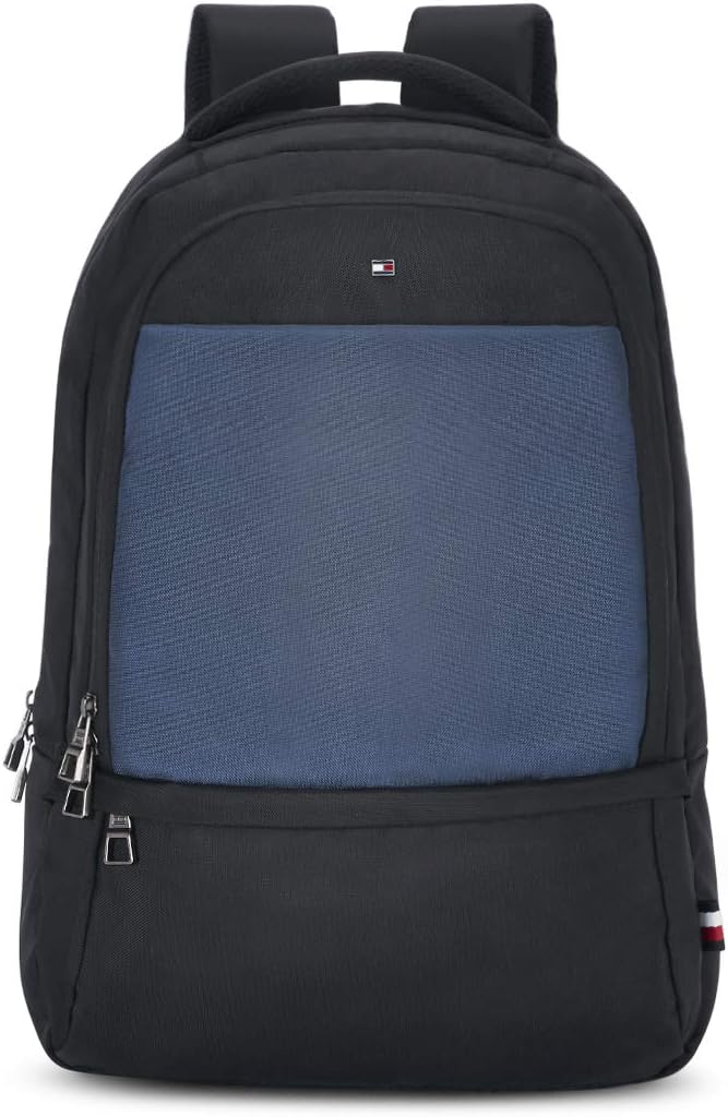 Buy Swiss Military 25 Ltrs Grey and Black Laptop Backpack (LBP40A) at