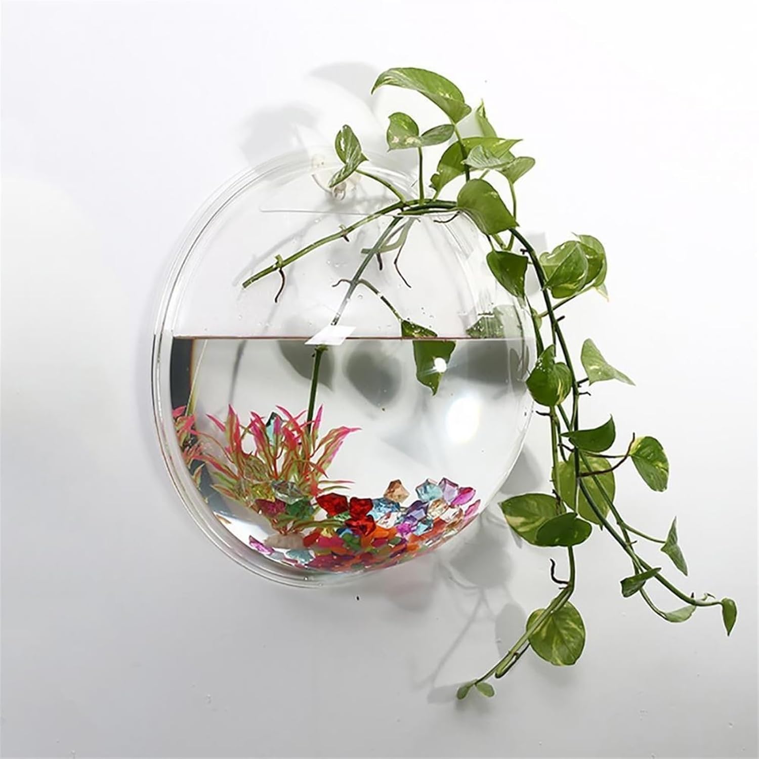GRFIT Aquarium Wall Mounted Acrylic Fish Tank, Transparent Round Aquarium Tank, Home Decor, Cultivation of Aquatic Plants Fish Aquarium