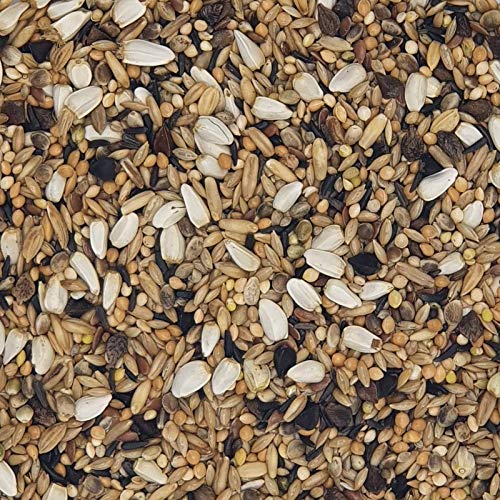 Grandes perruches spécial 20 kg