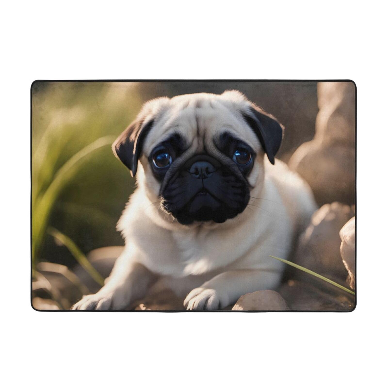 Tapis de sol doux carlin pour réchauffer un salon froid