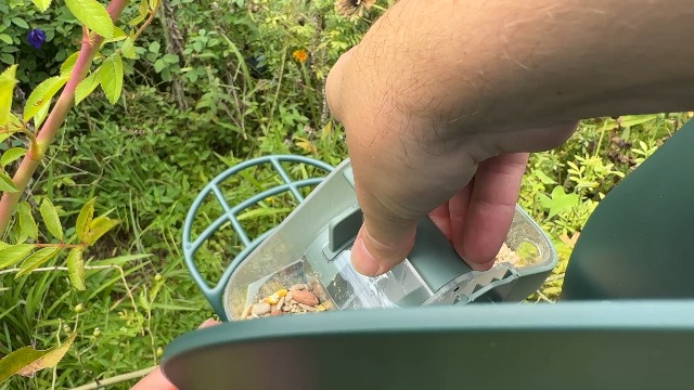 BEST Smart Bird Feeder with Camera? | Kiwibit Bird Feeders