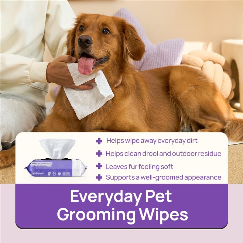 Image of HICC PET Pet Cleaning Wipes for Dogs & Cats, Paws & Coat, 100 Count