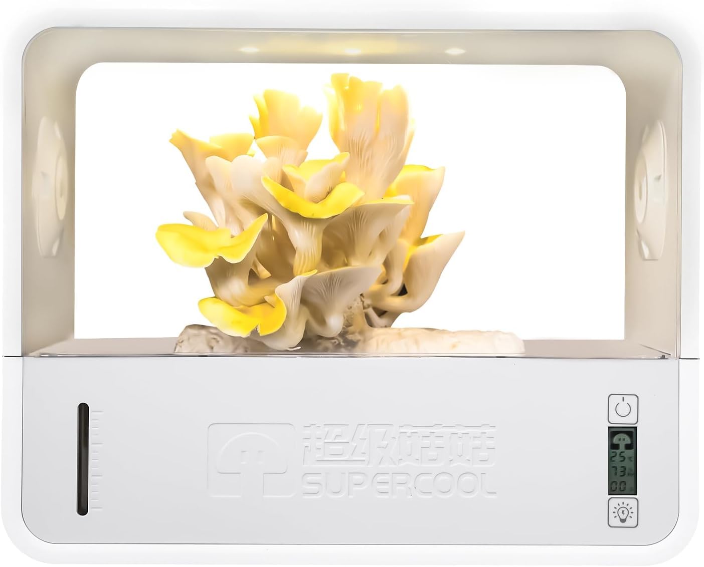 Kit De Cultivo De Setas De Interior Incluye Luz para Cultivo De Hongos. Sistema De Aire Fresco, Temperatura HumidificacióN AutomáTica para Hongos Shiitake