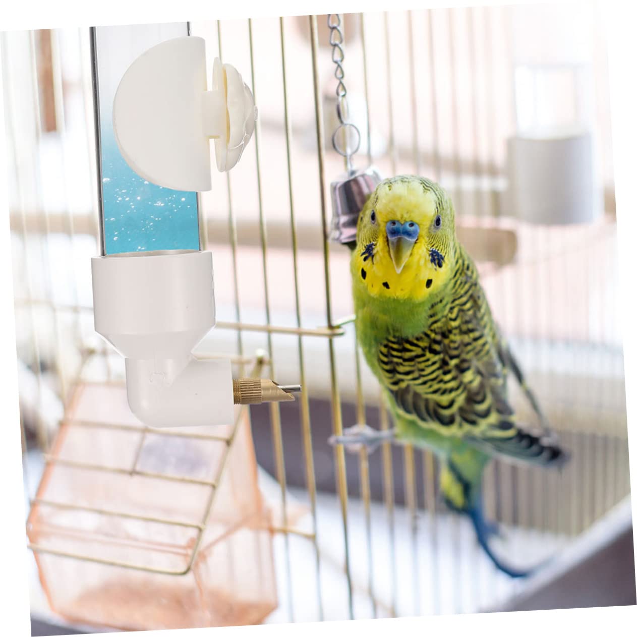 Amazon | VORCOOL ウォーターボトル 鳥 水飲み器 鳥 ケージ オウム用