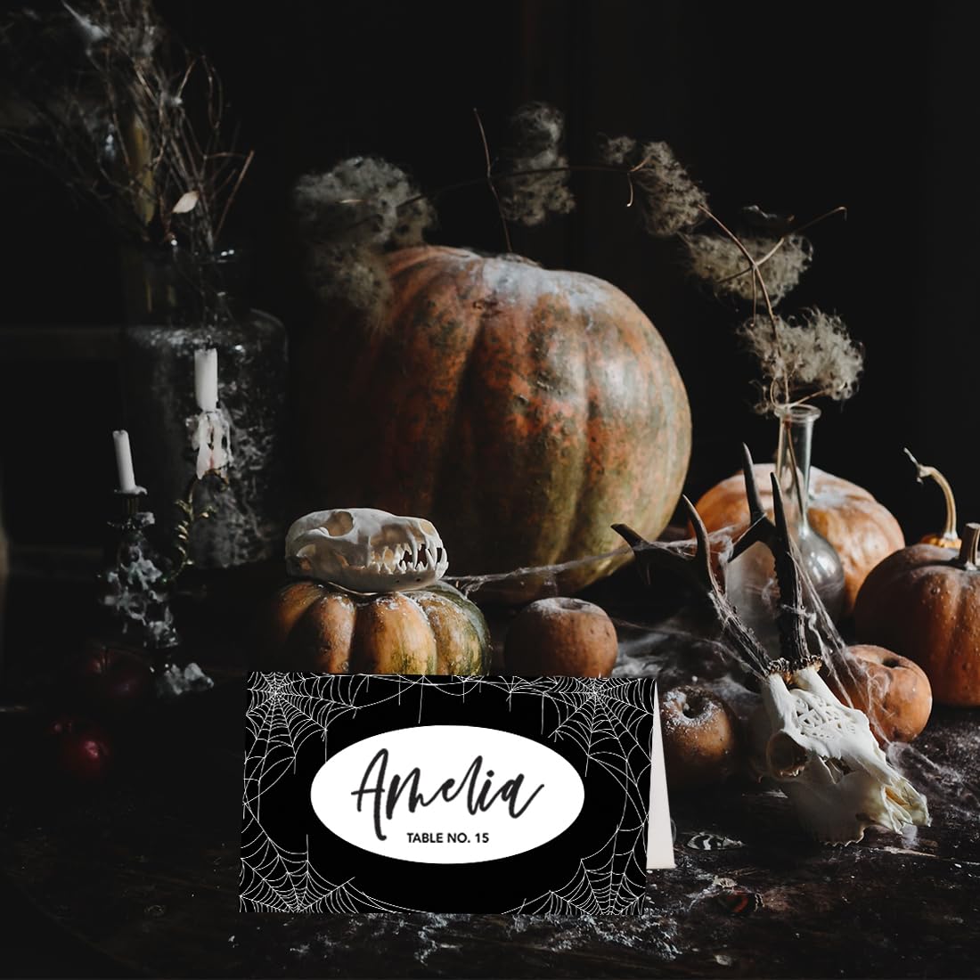 Andaz Press Halloween Name Place Cards for Table Setting, Black & White Webs Blank Food Labels for Party Buffet Cards, Dessert Table Display, Scored Mini Signs Food Display, 24 Pack 2 x 3.5