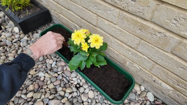 Coltello Da Taglio Spear &amp; Jackson Kew Gardens - Acciaio Inox Con Manico Legno