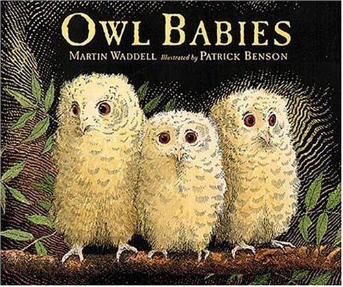 By Martin Waddell Owl Babies (English Language)