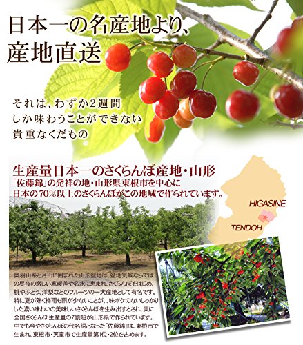 Amazon.co.jp: 国華園 さくらんぼ 800g 佐藤錦 ご家庭用 山形産 果物 