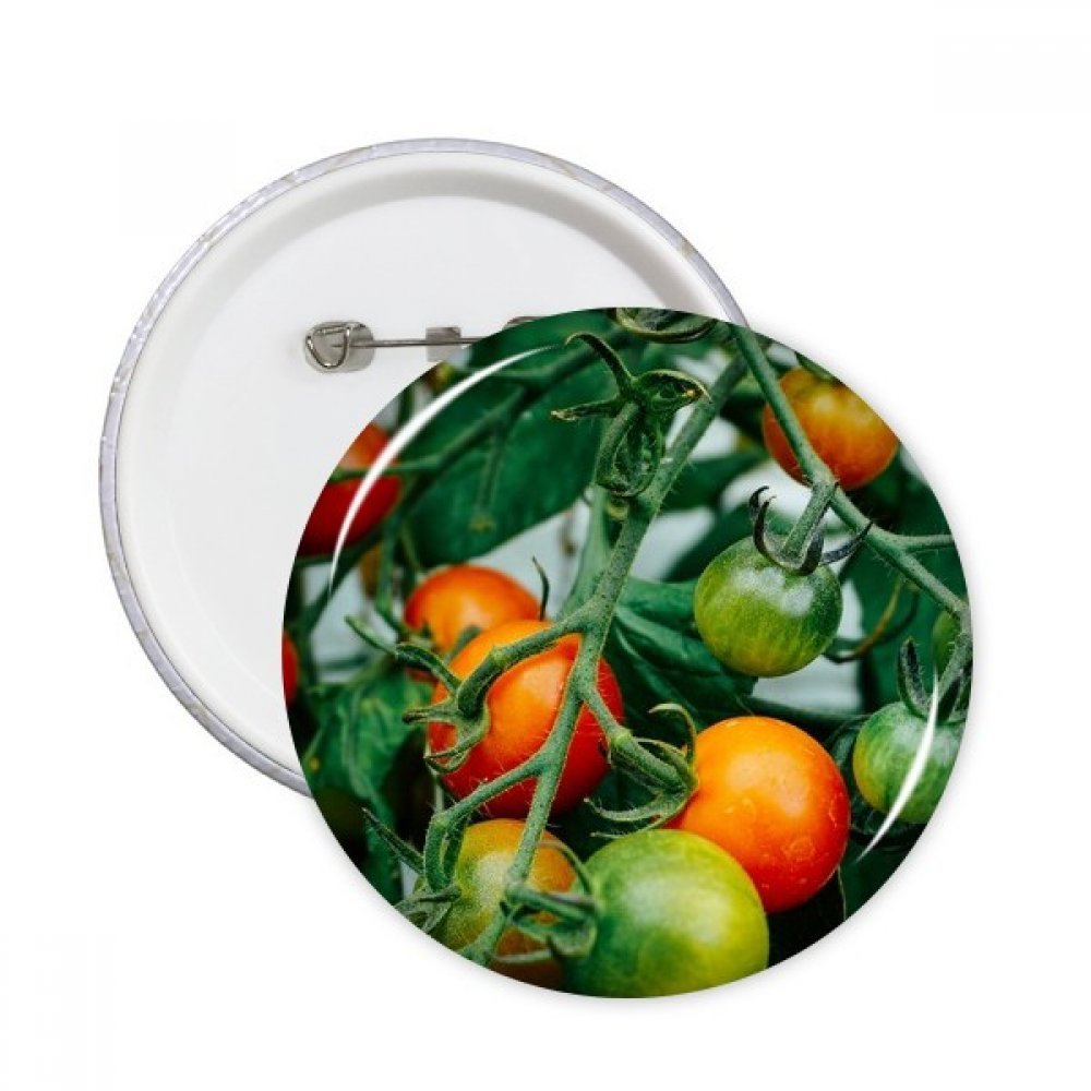 Pins Fruit PictureTreeManager bouton badge vêtement multicolore taille S rond DIYthinker