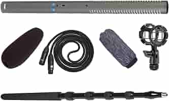 Amazon.co.jp: Audio-Technica AT897 ライン + グラデーション