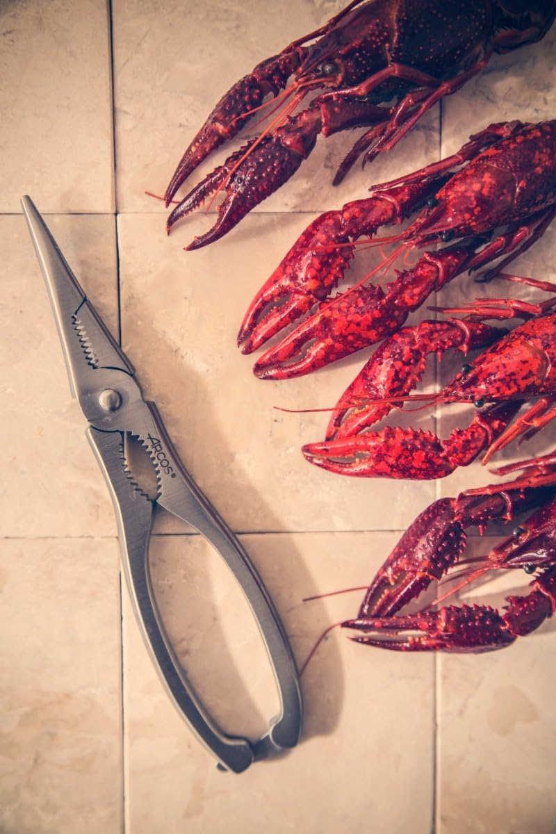 Image secondaire de ARCOS Pinces à Fruits de Mer en Acier Inoxydable 185 Mm et Manche Ergonomique. Instrument Professionnel pour Couper Les Fruits de Mer