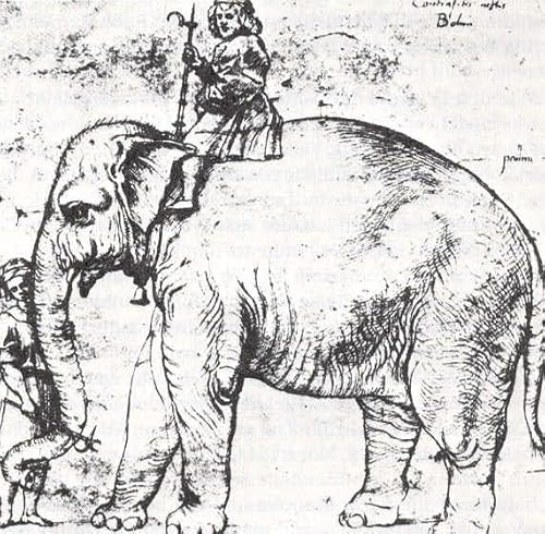 Annone: l'elefante del Papa - AperiStoria #235 copertina