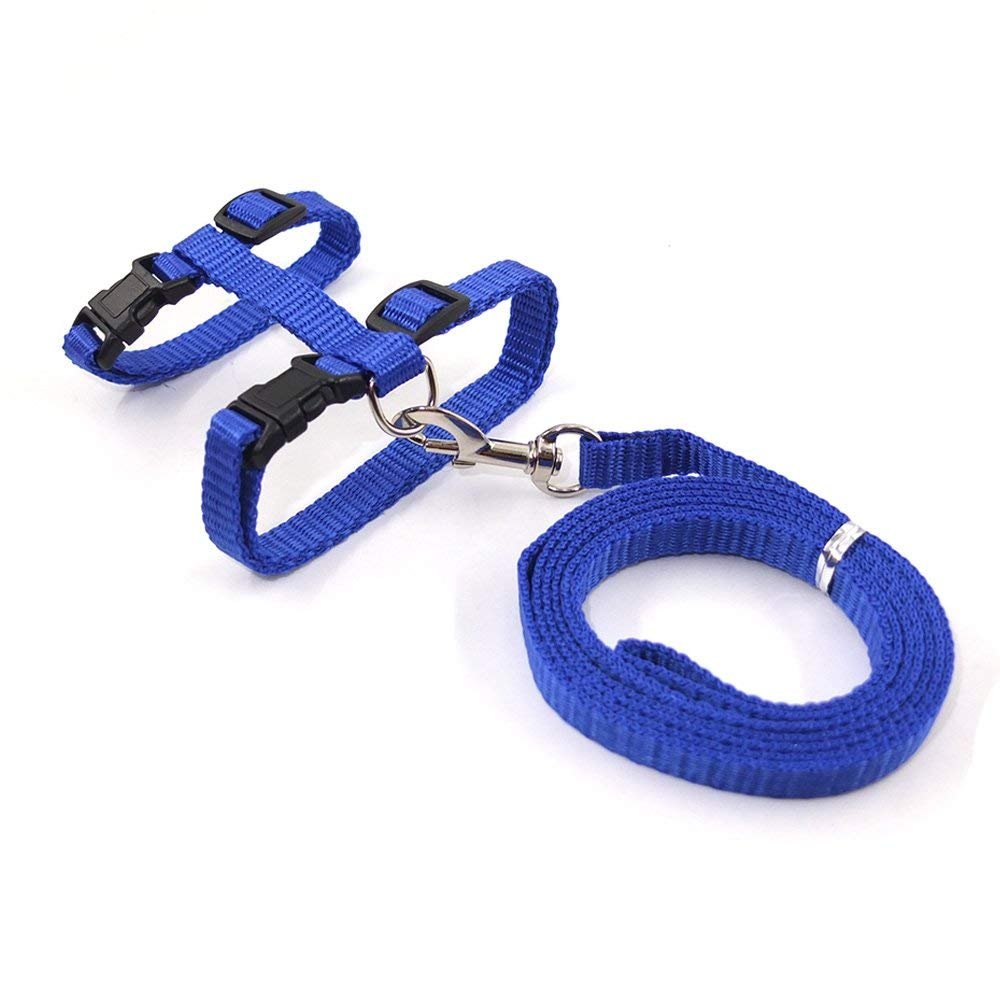 The Pets Company Adjustable Cat Harness Leash Set for Cats & Kittens, Indigo 4
