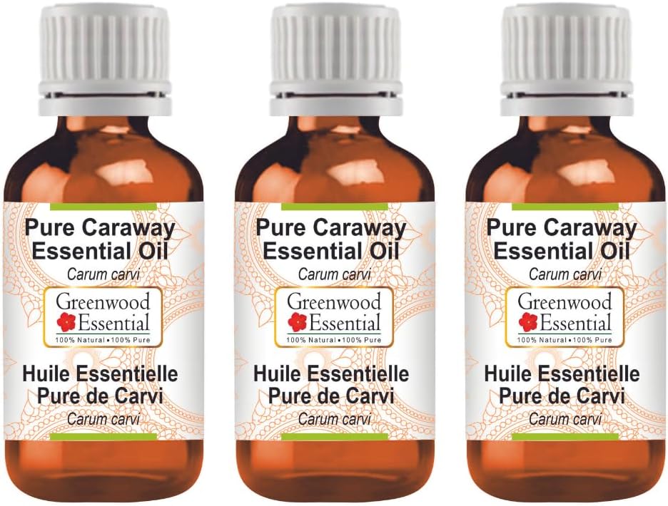 Greenwood Essential Pure Caraway Essential Oil (Carum carvi) Steam Distilled (Pack of Three) 100ml X 3 (10oz)