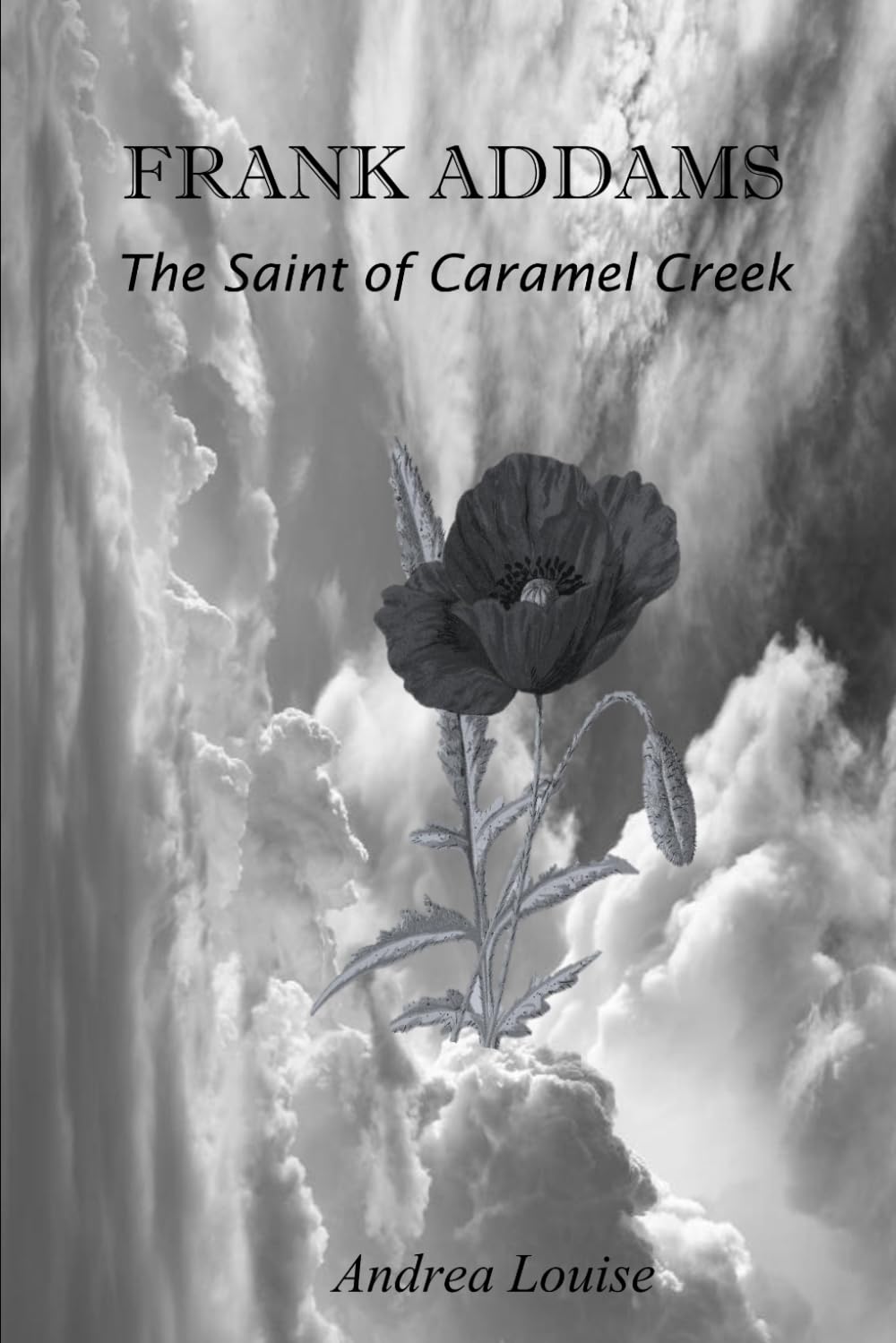 FRANK ADDAMS The Saint of Caramel Creek: This 259-page novel is just the thing for those interested in people with unique abilities. It deals with the ... manages to rise above those who condemn him.