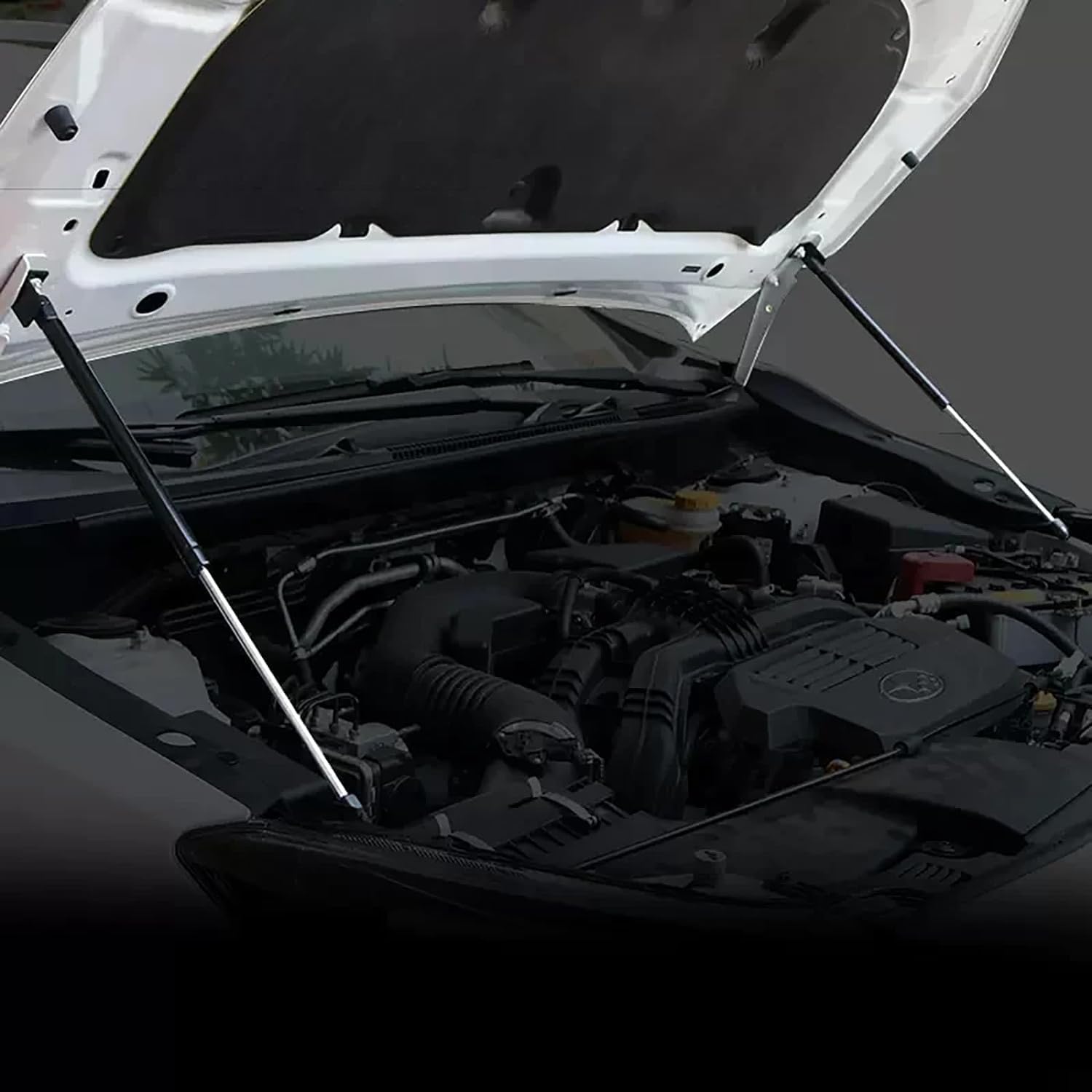 Frankberg 2x Gasfeder Motorhaube Für Audi R8 4S 2015-2024 - 414,5mm 380N