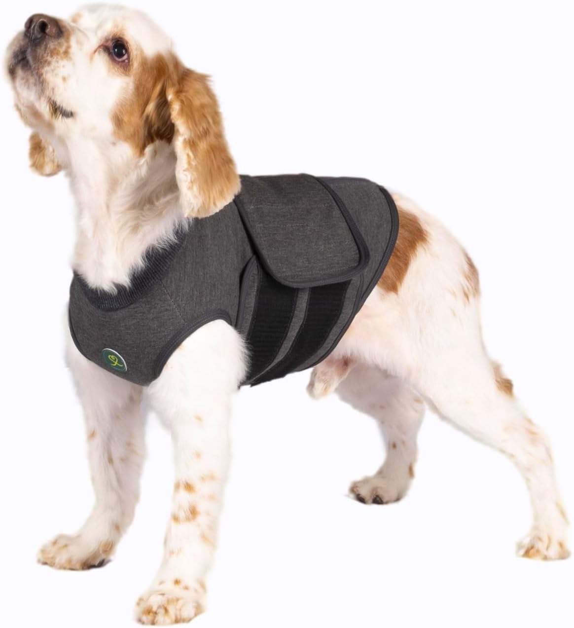 Calming Vest: Anxiety and Stress Relief for Dogs - Dog Anxiety Relief Calming Vest (Medium), Gray