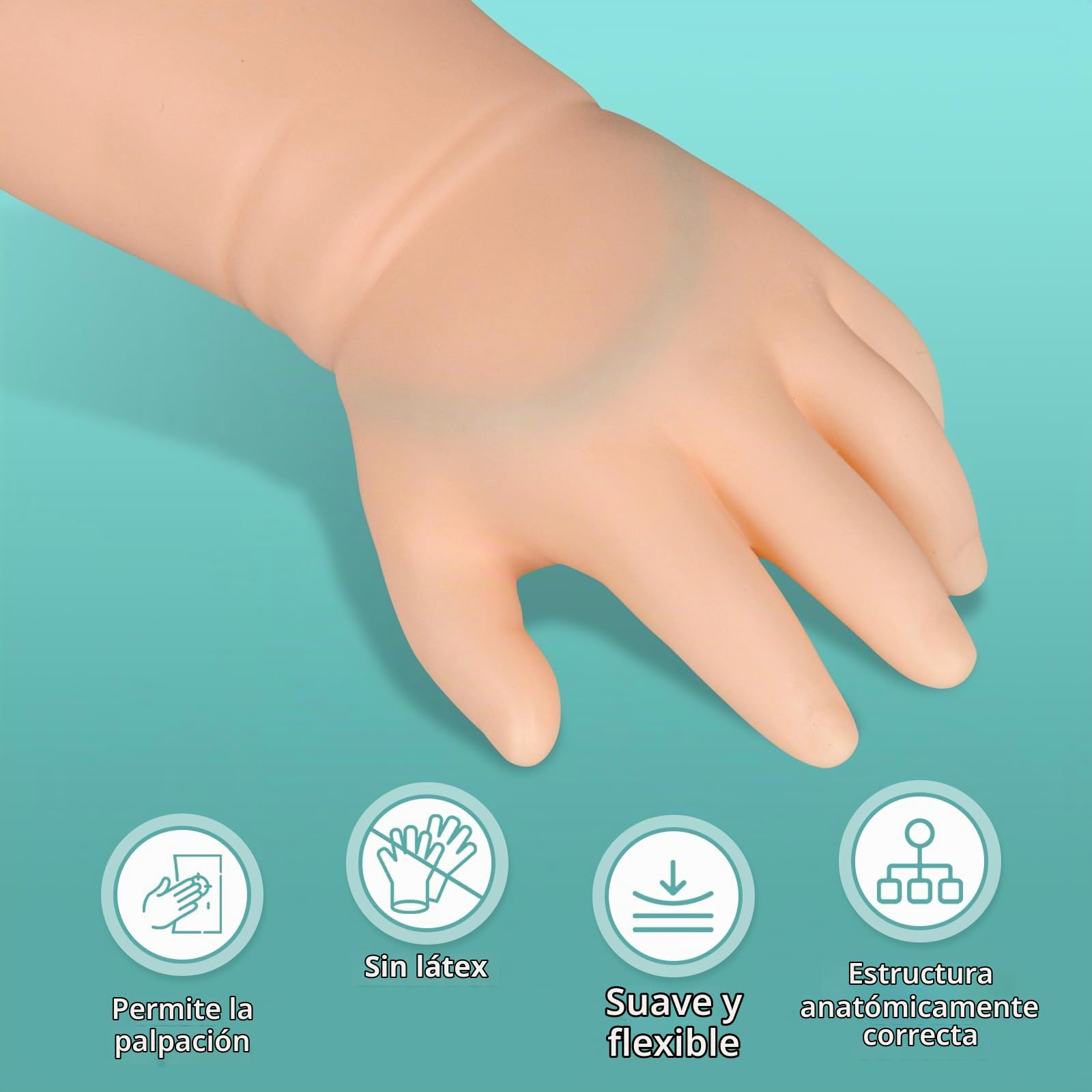 Kit de Mano para Práctica de Flebotomía y vía Intravenosa Pediátrica