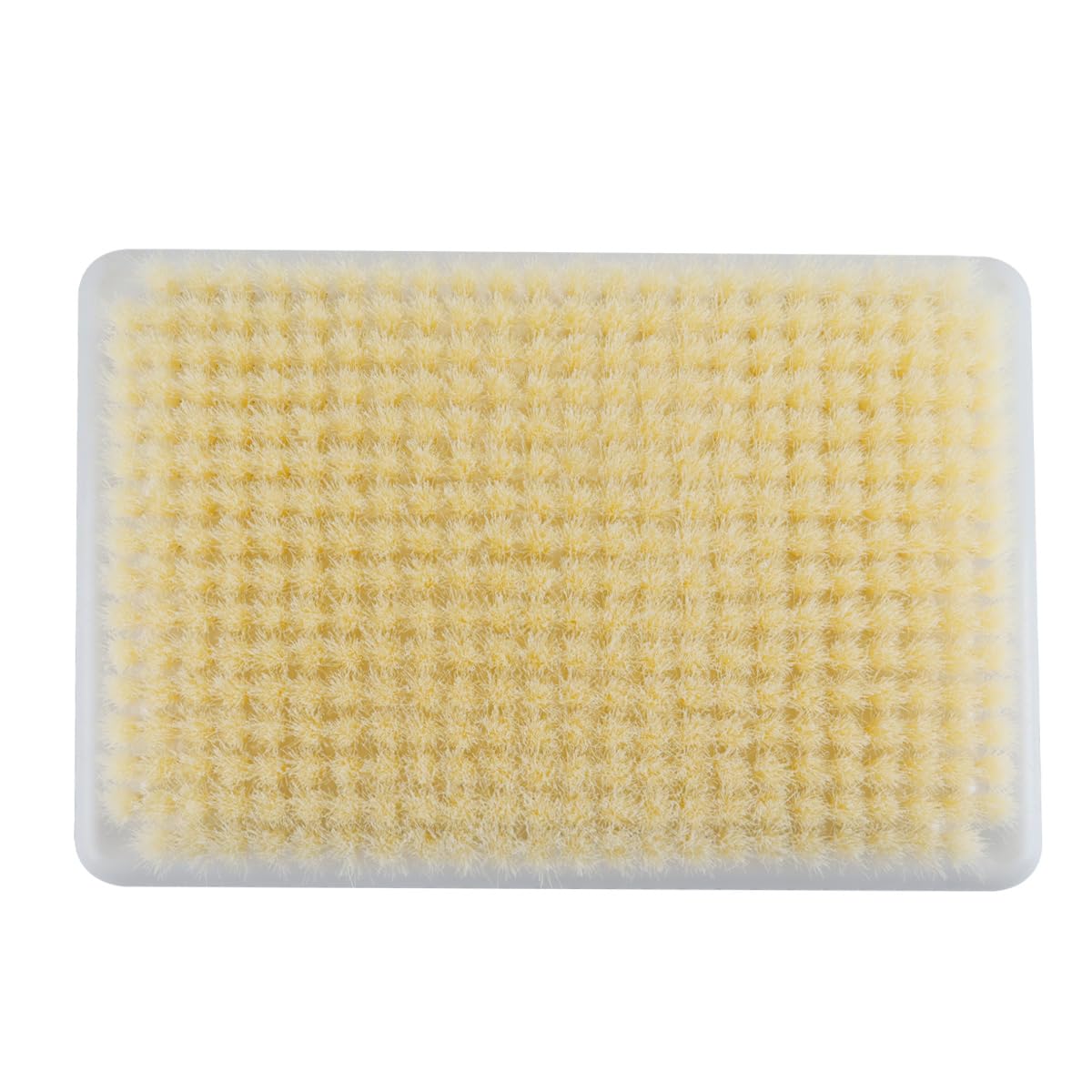 Cepillo exfoliante de pared para espalda, con gancho autoadhesivo, manos libres para ducha y cuerpo de cerdas suaves.