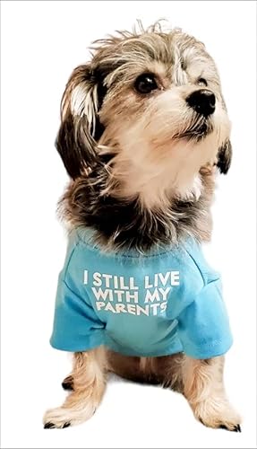 Miniatura 7 de Linda ropa para perros camiseta para perros medianos Ropa para perros pequeños niñas niños cachorros Disfraz suave y transpirable para perros y
