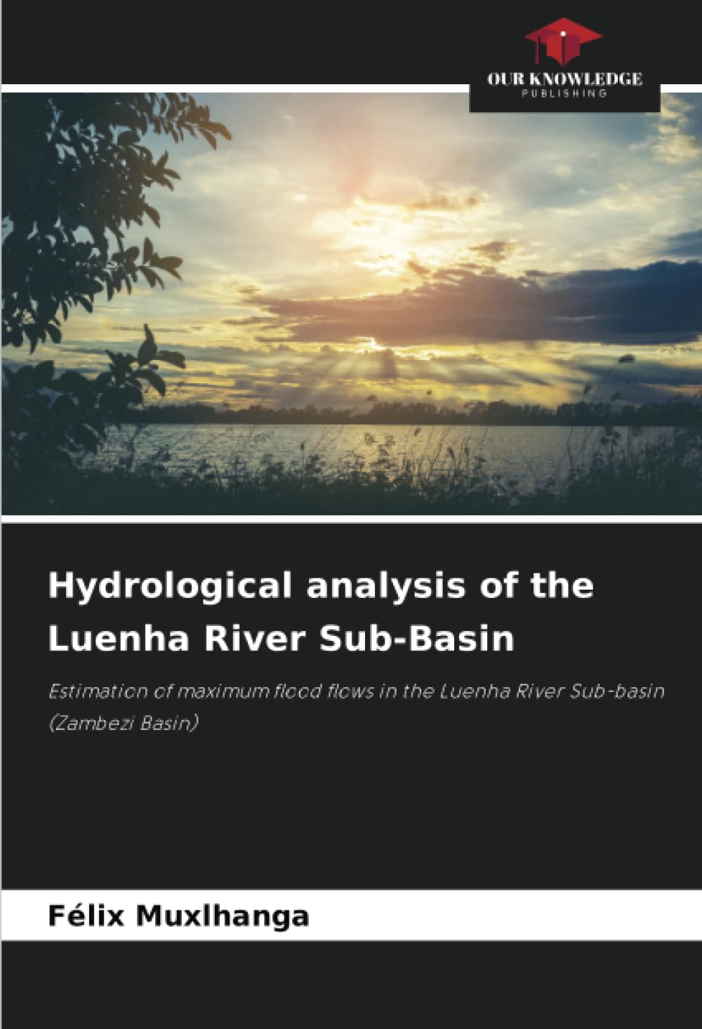 Hydrological analysis of the Luenha River Sub-Basin: Estimation of maximum flood flows in the Luenha River Sub-basin (Zambezi Basin)