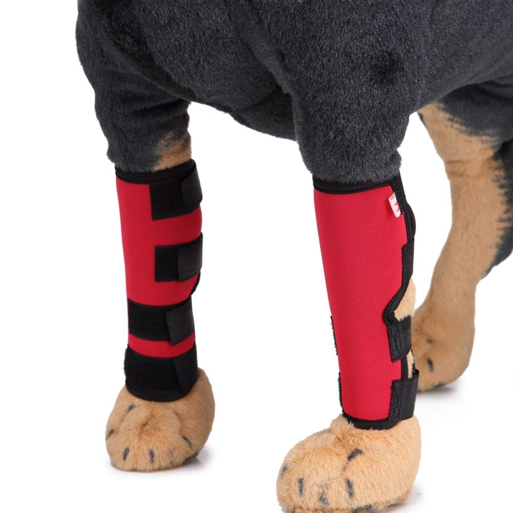 Canine Dog Hock Brace Rear Leg Joint Wrap Protects Dog Rear Leg Braces Rehab Knee Protector Heals and Prevents Injuries and Sprains Helps with Loss of Stability Caused by Arthritis 1 Pair (L, Red)