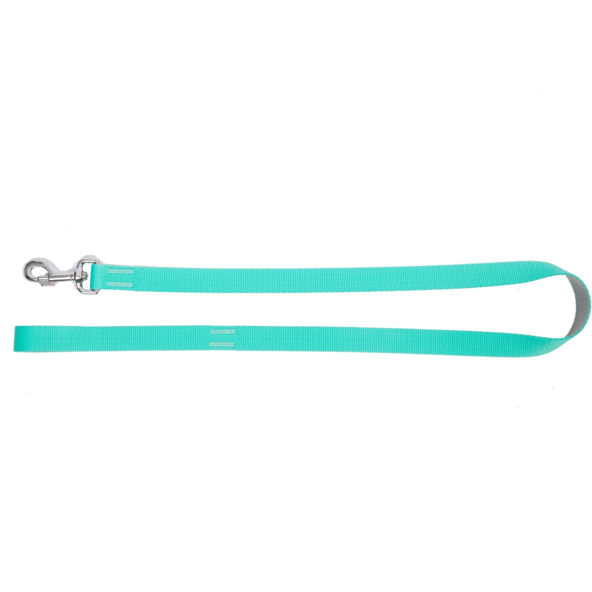 Dingo Dog Leash Handmade Mint with Silver Contrast 14724, 1 x 130 cm