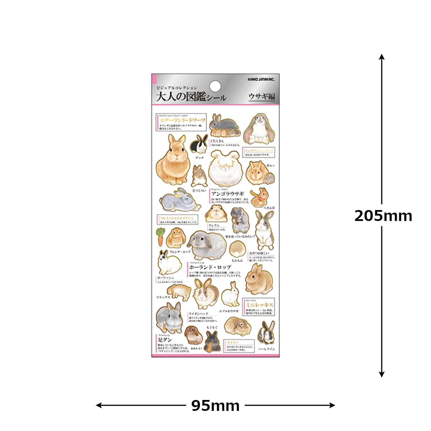 動物セル画 Amazon.com: Kamio Japan Seal, Adult Encyclopedia Seal